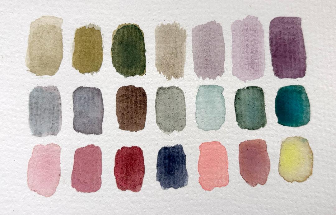 Color Scheme